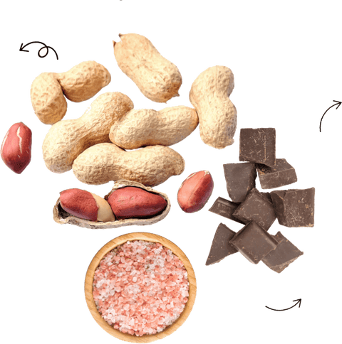 Peanut Butter Dark Chocolate & Sea Salt "New and Improved Glo" Vegan Protein Bars