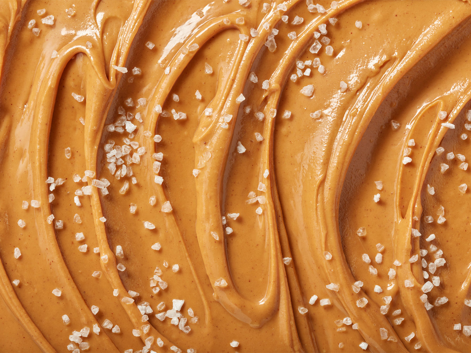 Creamy Vegan Peanut Butter Protein Bars & Sea Salt Flavor  | Order now!